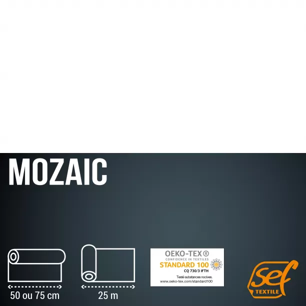 MoZaic (I109)